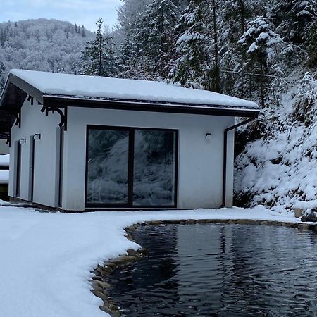 Cottage house Mizhhirya  Exterior photo