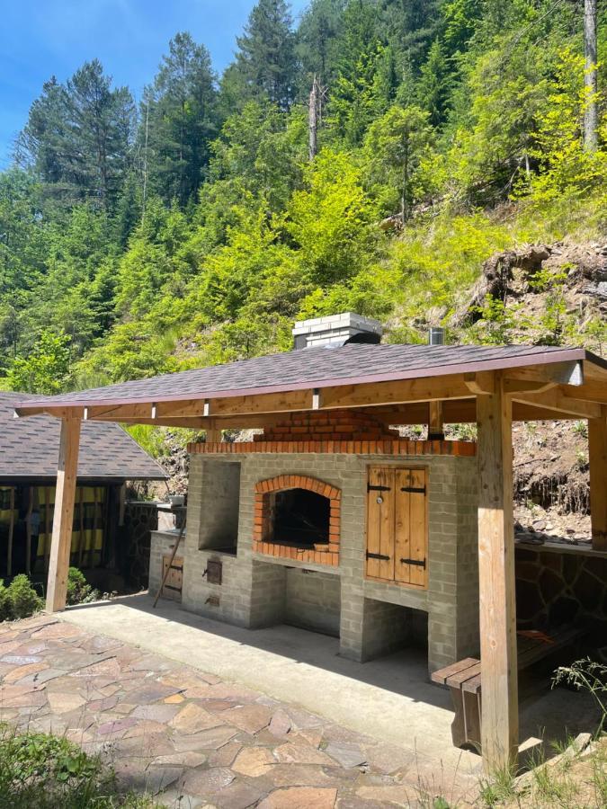 Cottage house Mizhhirya  Exterior photo
