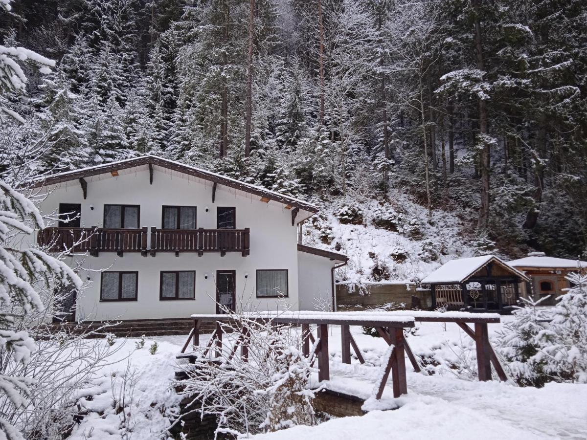 Cottage house Mizhhirya  Exterior photo