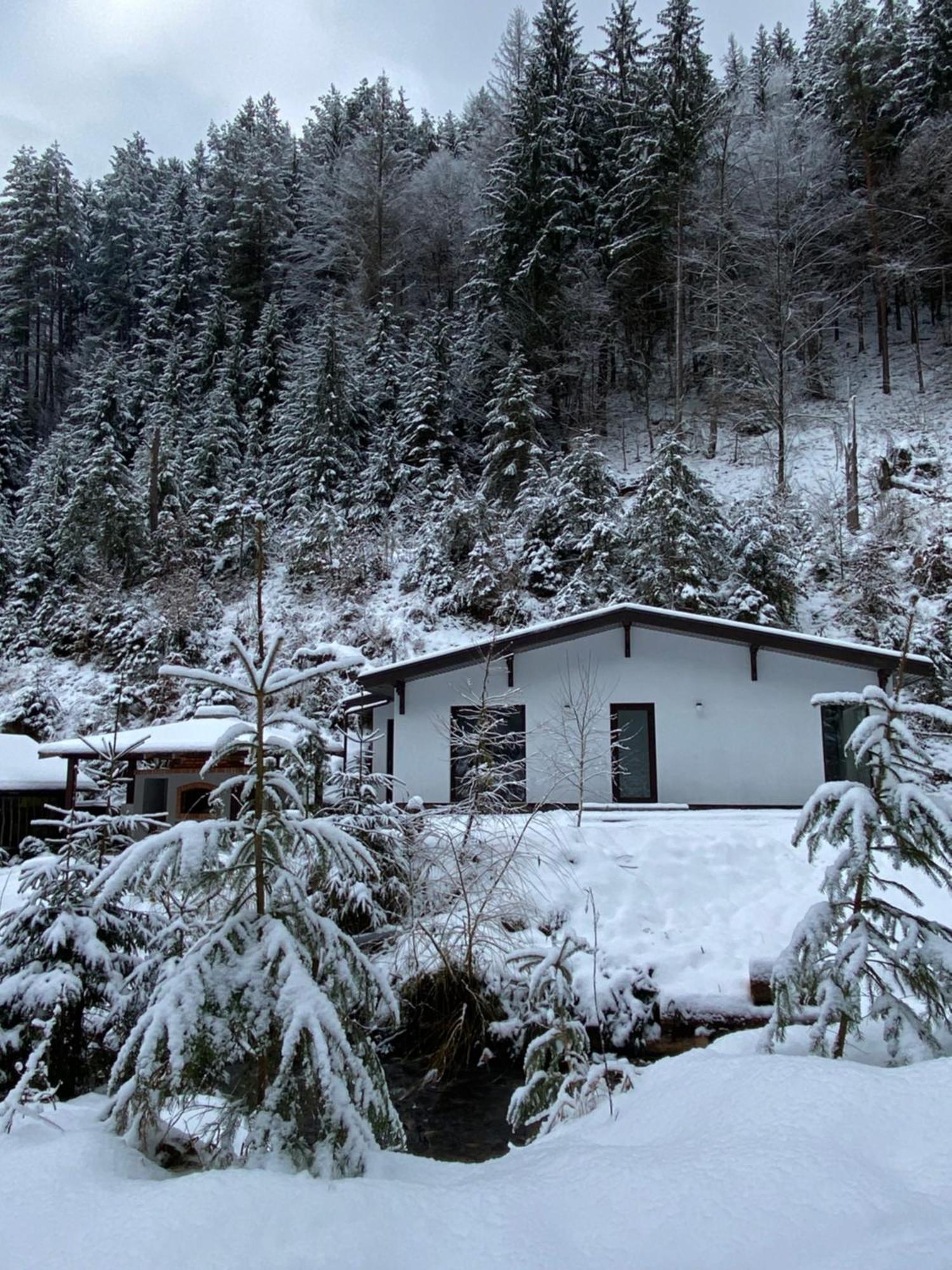 Cottage house Mizhhirya  Exterior photo