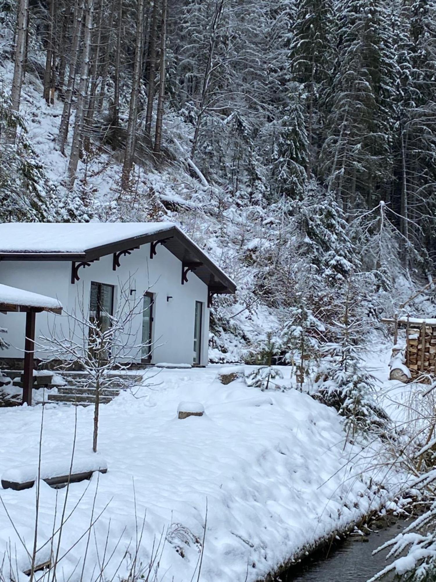 Cottage house Mizhhirya  Exterior photo